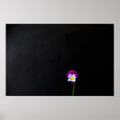 Poster Fleur violet wapcn (Devant)