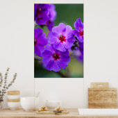 Poster Fleur violette (Cuisine)