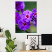 Poster Fleur violette (Bureau à domicile)