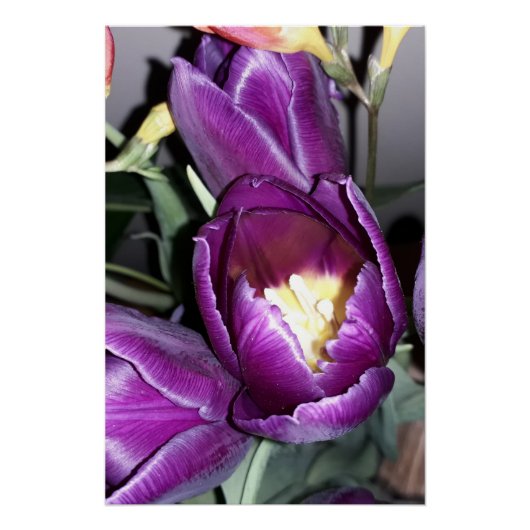 Poster Fleur violette (Devant)