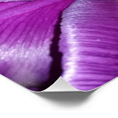 Poster Fleur violette (Coin)