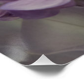 Poster Fleur violette 20" x 20", Papier d'affiche, Semi-b (Coin)