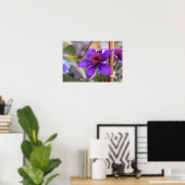 Poster Fleur violette Clematis (Bureau à domicile)