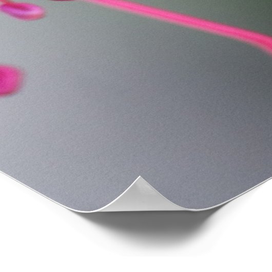 Poster Fleur violette et rouge Fuchsia (Coin)