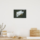 Poster Fleur Zen (Cuisine)