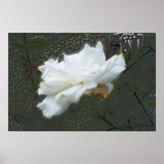 Poster Fleur Zen (Devant)