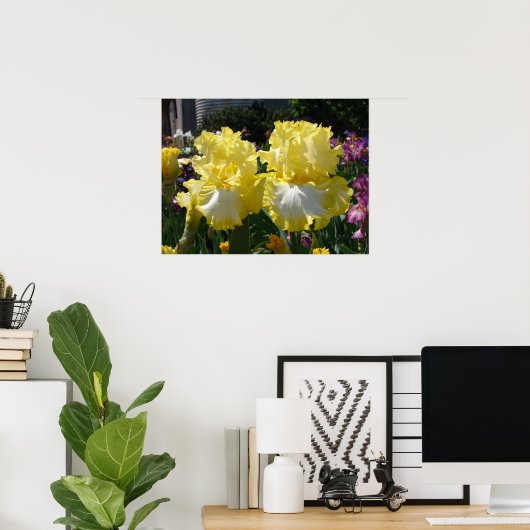 Poster fleuri Iris Irises aux rayures jaunes (Bureau à domicile)