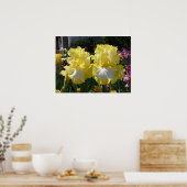Poster fleuri Iris Irises aux rayures jaunes (Cuisine)