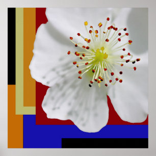 Poster Fleurissement de printemps Moderne Abstrait Floral