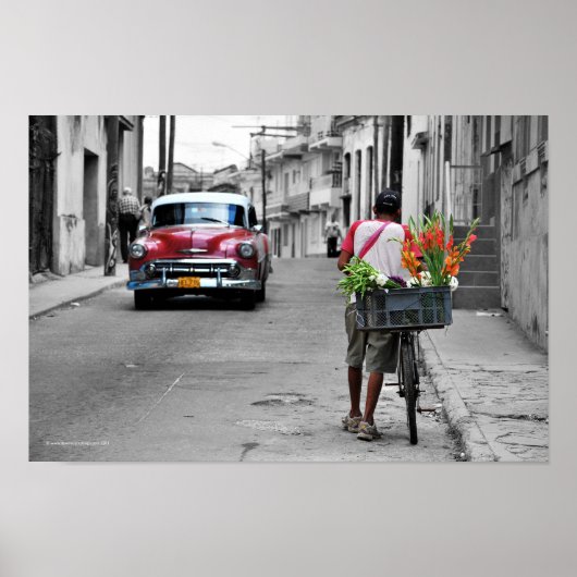 Poster Fleuriste cubain (Devant)