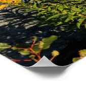 Poster Fleuron D'Or Et Ombres Nature (Coin)