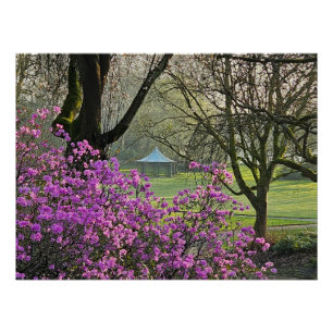 Poster Fleurs