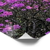 Poster Fleurs (Coin)