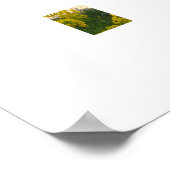 Poster Fleurs (Coin)