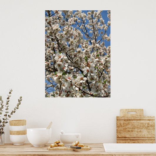 Poster fleurs (Cuisine)