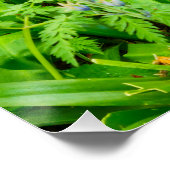 Poster Fleurs (Coin)