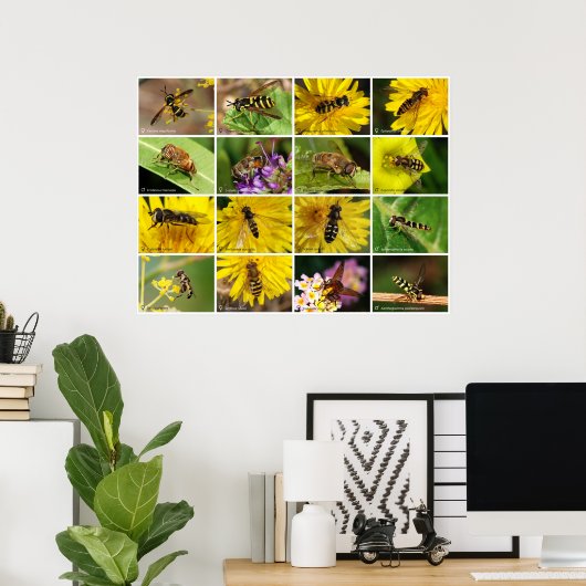 Poster Fleurs (Bureau à domicile)