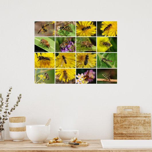 Poster Fleurs (Cuisine)