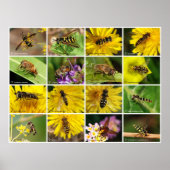 Poster Fleurs (Devant)