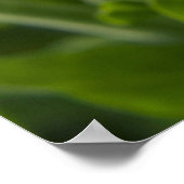 Poster Fleurs (Coin)