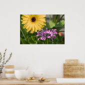 Poster Fleurs (Cuisine)