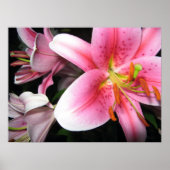 Poster Fleurs (Devant)