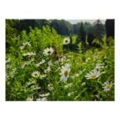 Poster Fleurs (Devant)