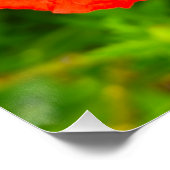 Poster Fleurs (Coin)