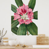 Poster Fleurs (Cuisine)