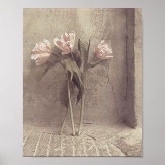 Poster fleurs