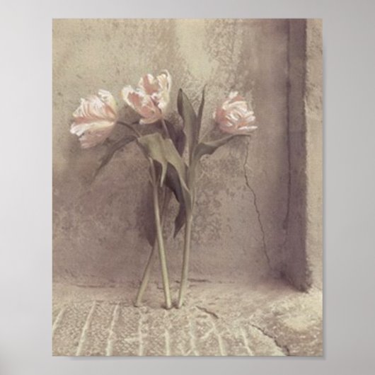 Poster fleurs (Devant)