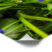 Poster Fleurs (Coin)