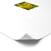 Poster Fleurs (Coin)