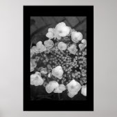 Poster Fleurs (Devant)