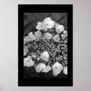 Poster Fleurs