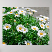 Poster Fleurs (Devant)