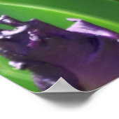 Poster fleurs (Coin)