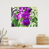 Poster fleurs (Cuisine)