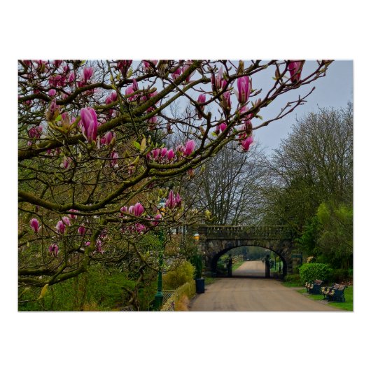 Poster Fleurs (Devant)