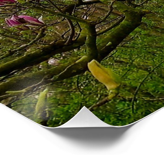 Poster Fleurs (Coin)