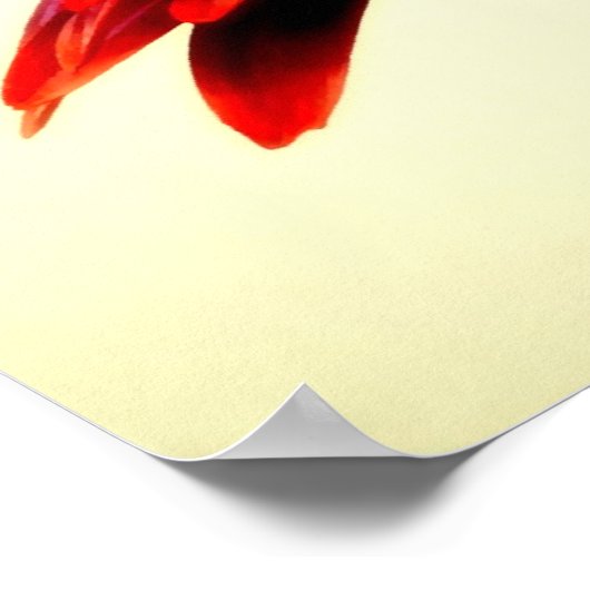 POSTER FLEURS-007 (Coin)