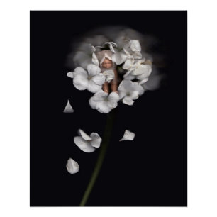 Poster Fleurs 1