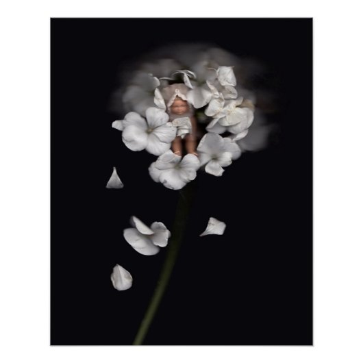 Poster Fleurs 1 (Devant)