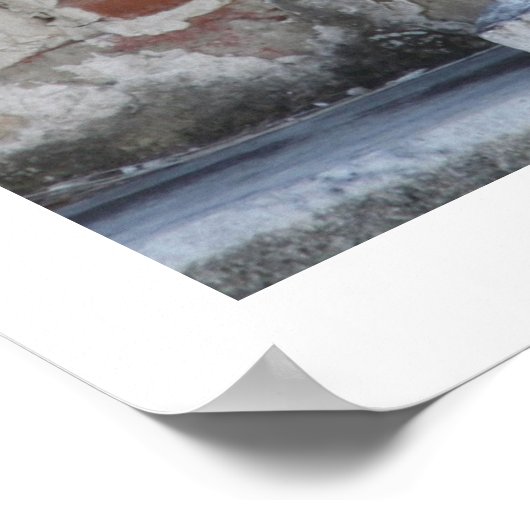 Poster Fleurs 16x20 avec Edge (Coin)