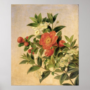 Poster Fleurs, 1835