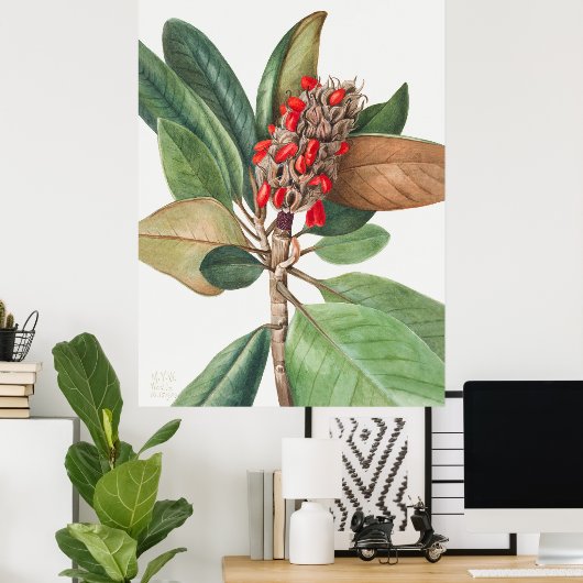 Poster Fleurs 2 (Bureau à domicile)