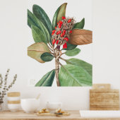 Poster Fleurs 2 (Cuisine)