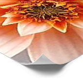 Poster Fleurs 3d colorées (Coin)