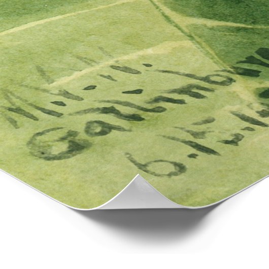 Poster Fleurs 4 (Coin)