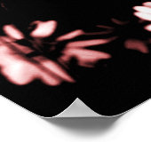 Poster Fleurs #4250 5 Imprimer (Coin)